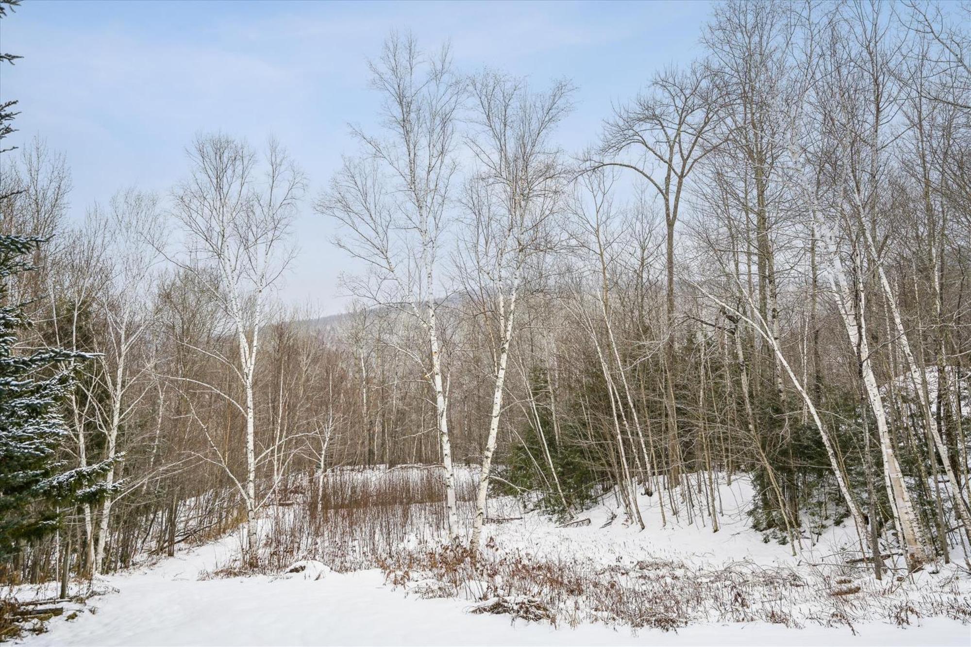 Spacious Northbrook 3 Townhouse Only 2 Miles From Restaurants & Nightlife Killington Exteriör bild